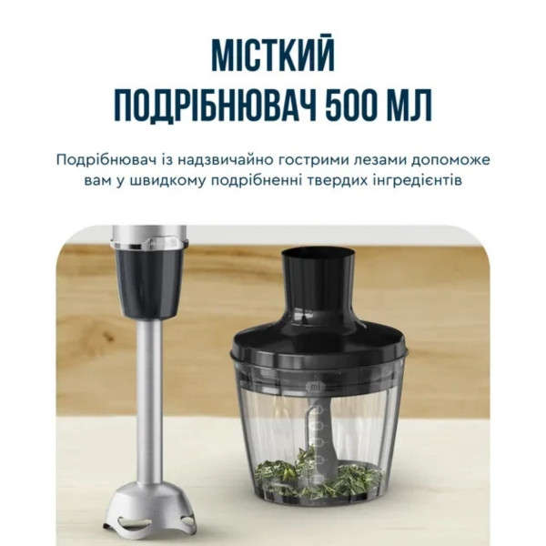 Блендер TEFAL HB67G830 з чашею 2л технологією Powelix і 5 насадками