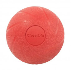 Мячик для собак Cheerble Wickedball Air