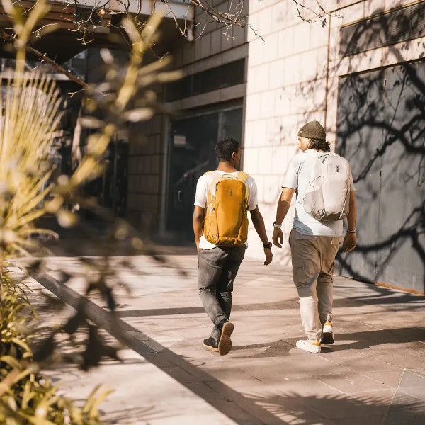 Рюкзак для ноутбука 15,6” Thule EnRoute с отделением для планшета 10,5” и вентилируемой спинкой