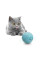 М'ячик для котів Cheerble Ice Cream Ball C0419-C