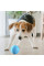 Мячик для собак и кошек Cheerble Wickedball C1801