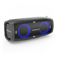 Портативна Bluetooth колонка Hopestar A6 Party 30W з вологозахистом IPX6